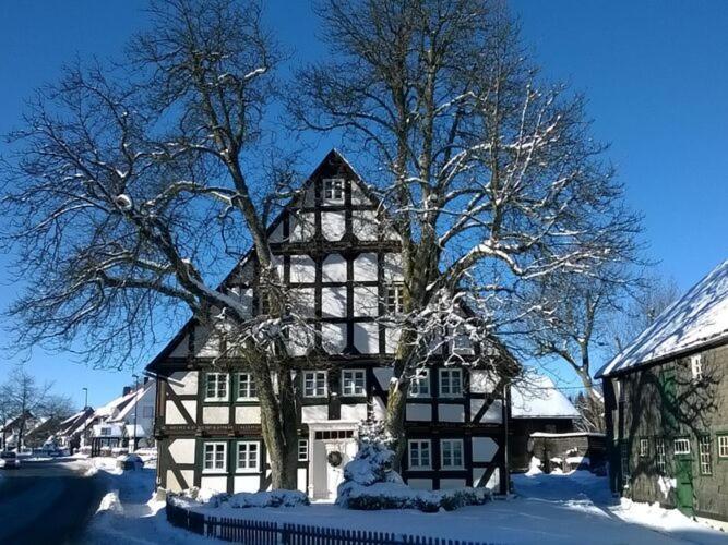 Home In Wissinghausen With Private Sauna 梅德巴赫 外观 照片